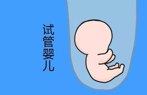 卵巢评估